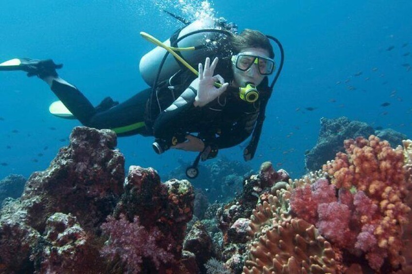 Diving In Kusadasi