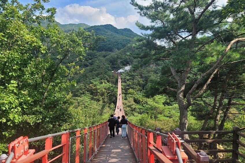 Suspension Bridge 2 2