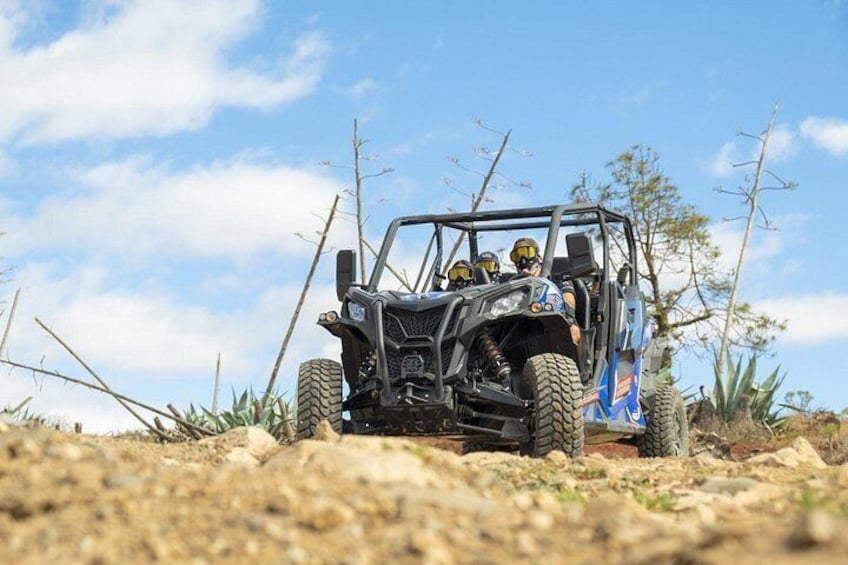 Buggy tour at Anfi beach 4