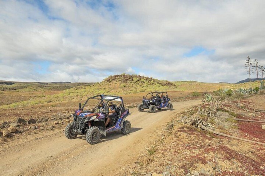 BUGGY RIDE TOUR SAFARI 5