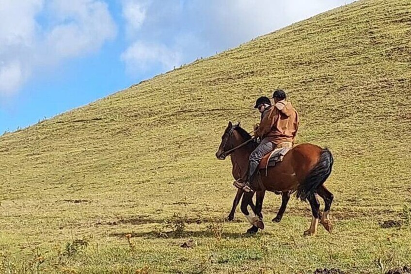 3 Hours Terevaka Horseback Private Guided Riding Tour