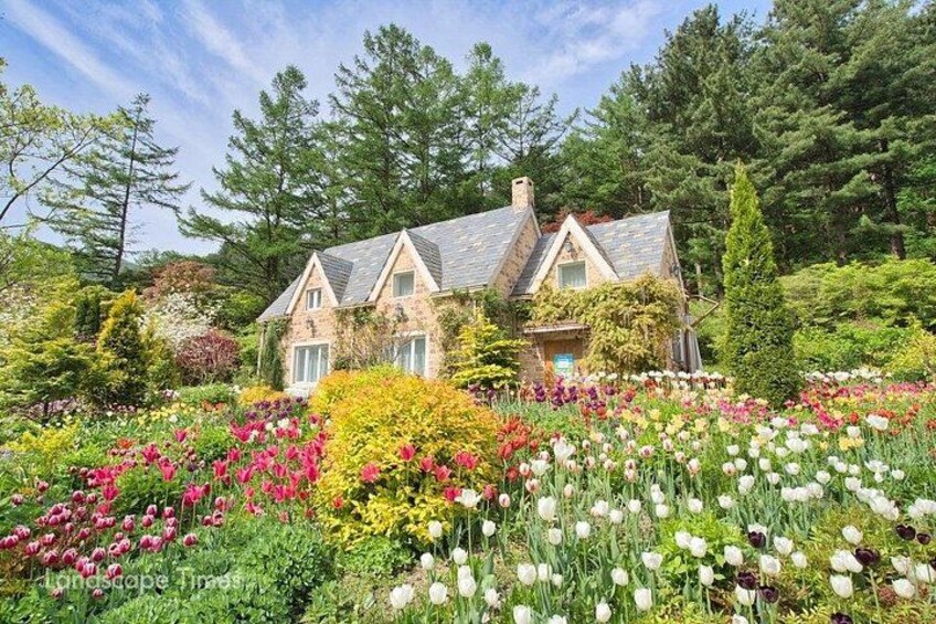 Nami Island, Petite France and Garden of Morning tour from Seoul 2