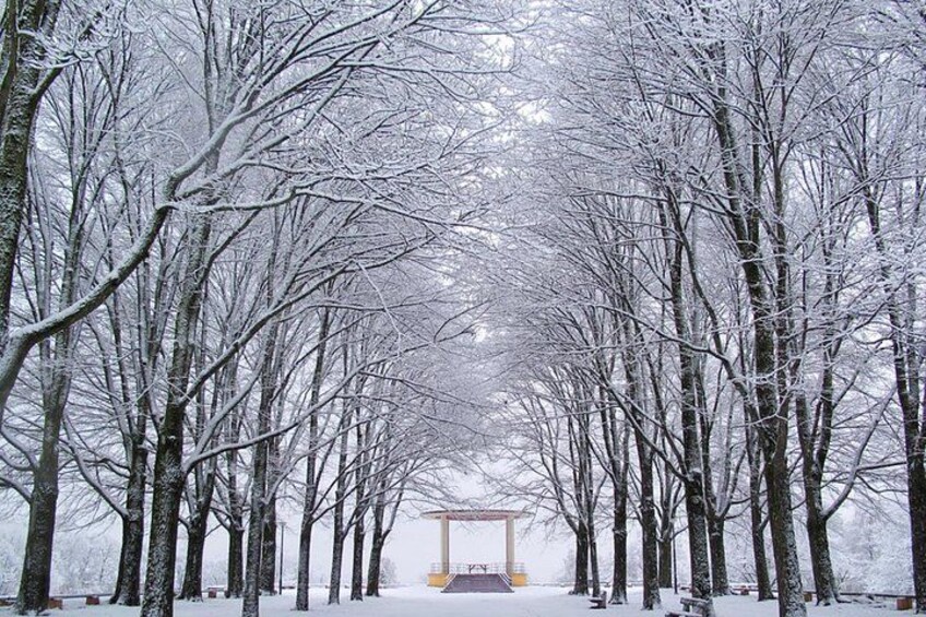 Un sendero cubierto de nieve flanqueado por árboles que conduce a un pabellón. 2