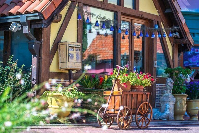 Nami Island and Petite France Day tour from Seoul 3