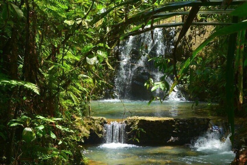 Suva Village Tour