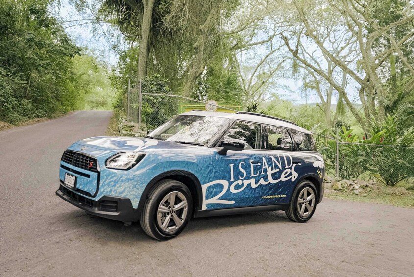 Montego Bay Mini-Routes 'Drive Your Own' Adventure  2