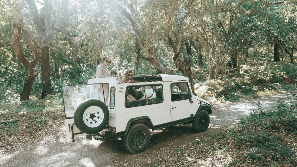 A white off-road vehicle parked on a dirt path surrounded by trees. 1