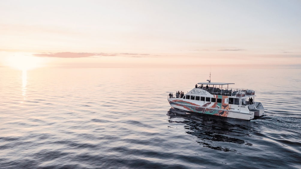 Picture 1 for Activity Hervey Bay: Twilight Cruise to Great Sandy Marine Park 2