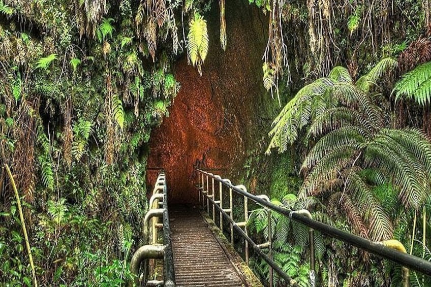 A wooden bridge with railings, surrounded by dense green foliage and a large rock formation. 2