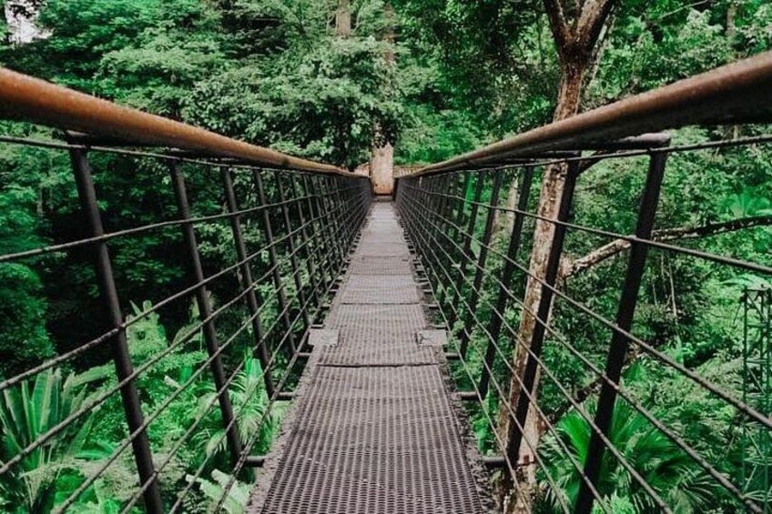 Sky Walk 2