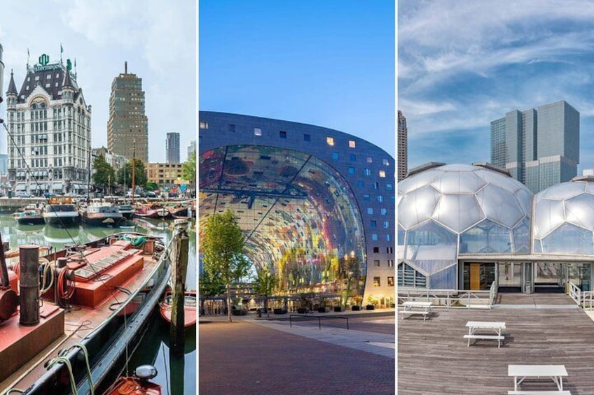 Rotterdam Must Do Tour: Highlights, History, WW2 and Architecture 1
