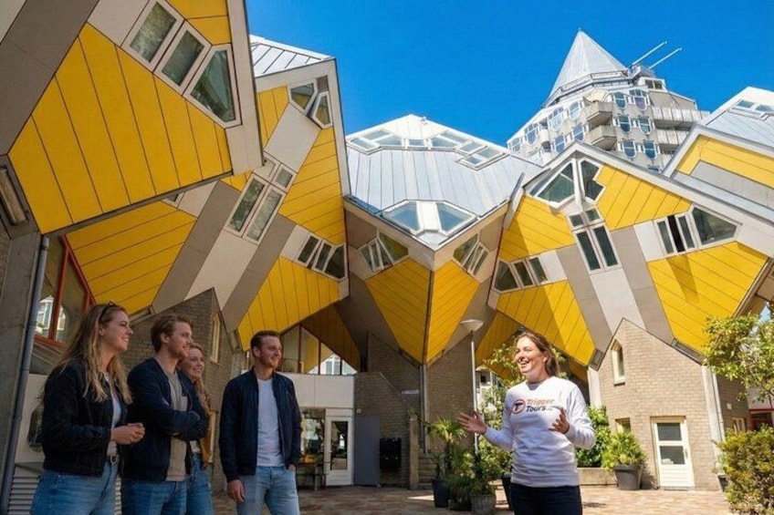 Rotterdam Must Do Tour: Highlights, History, WW2 and Architecture 3