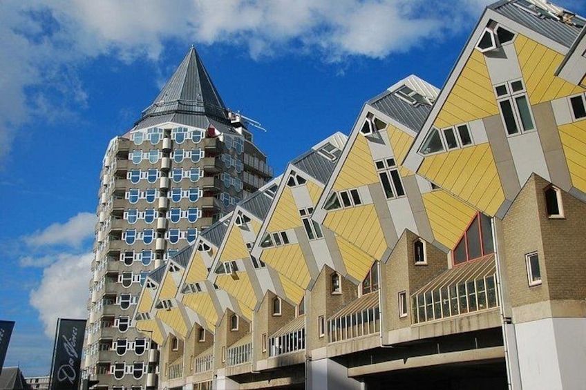 Rotterdam Must Do Tour: Highlights, History, WW2 and Architecture 5