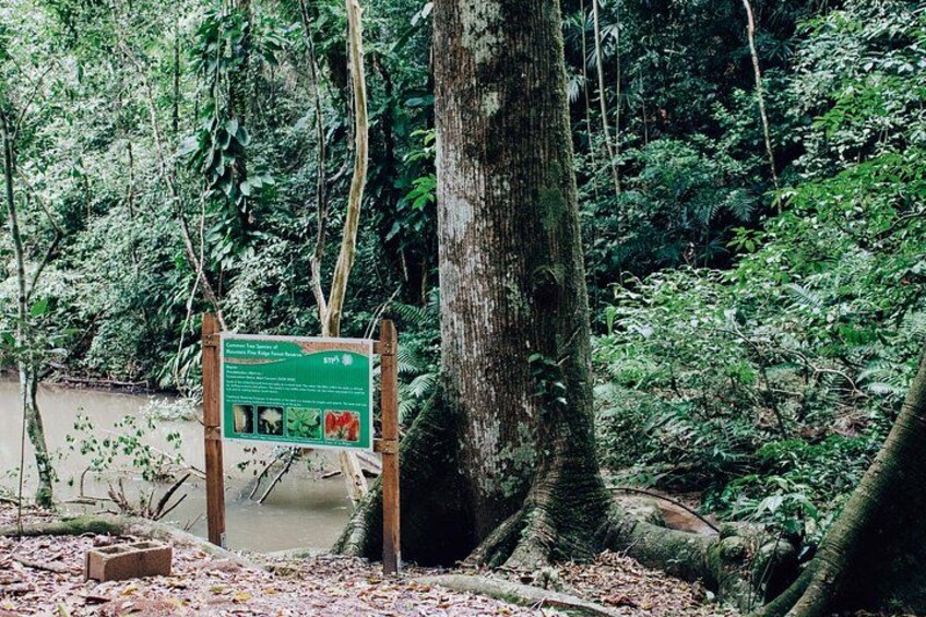 Private Caracol Package | Discover the World of the Ancient Maya 5