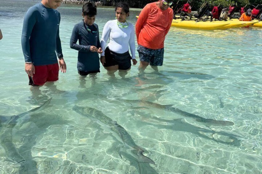 Water Bike Tour to La Parguera Cays 2