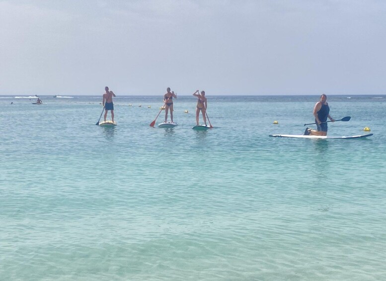 Picture 9 for Activity Fuerteventura: 1.5-Hour SUP Course - Caleta de Fuste 3