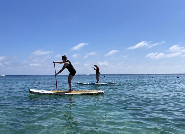 Picture 3 for Activity Fuerteventura: 1.5-Hour SUP Course - Caleta de Fuste 4