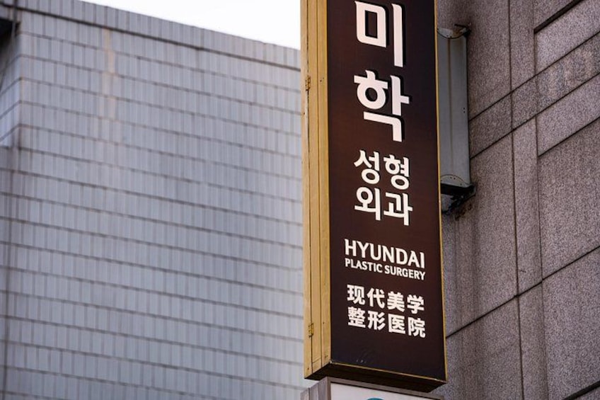 Gangnam Walking Tour on Youth and Society in Seoul Korea 2