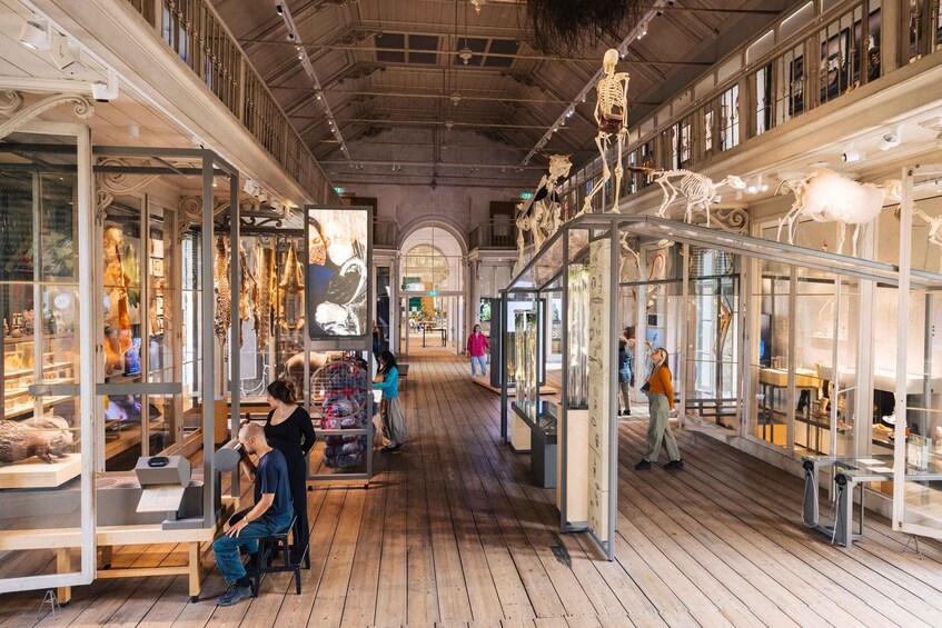 Un mercado interior con suelos de madera, vitrinas de cristal y diversos artículos a la venta. 1