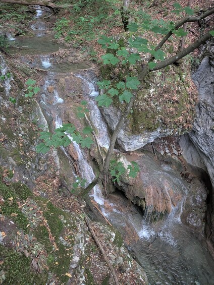 Picture 9 for Activity Sofia: Adventure Tour to Plovdiv and Rhodope Mountain 3