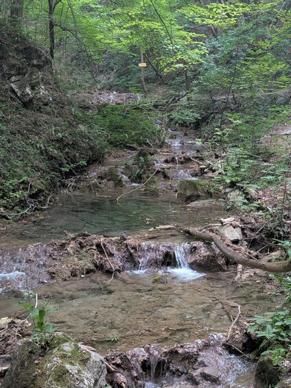 Picture 10 for Activity Sofia: Adventure Tour to Plovdiv and Rhodope Mountain 5