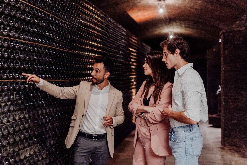 A person pointing at a wall of wine bottles in a dimly lit cellar. 2