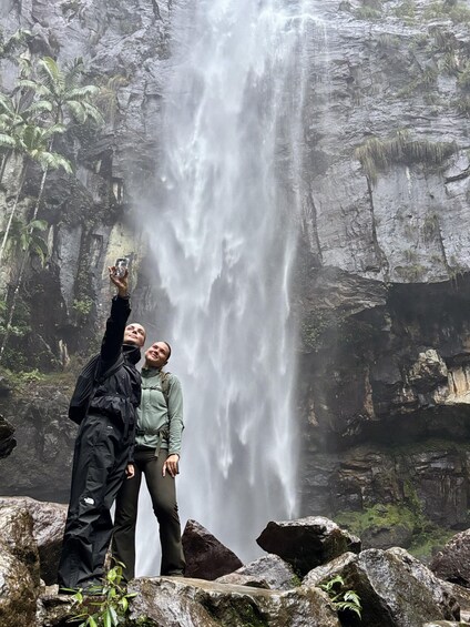 Picture 1 for Activity Byron Bay: Glowworms, Waterfalls & Rainforest Experience 2