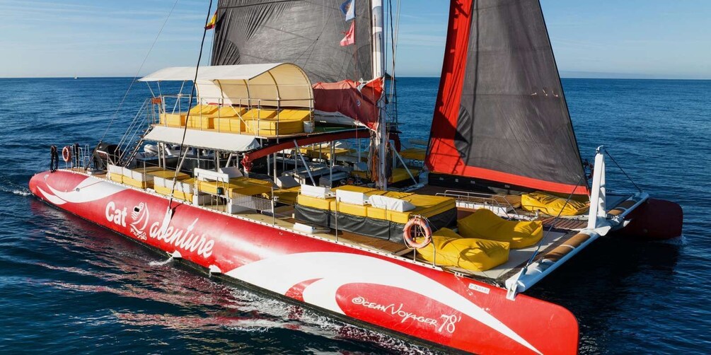 Picture 5 for Activity Cambrils: Catamaran Cruise with Drinks and BBQ Lunch Option 5
