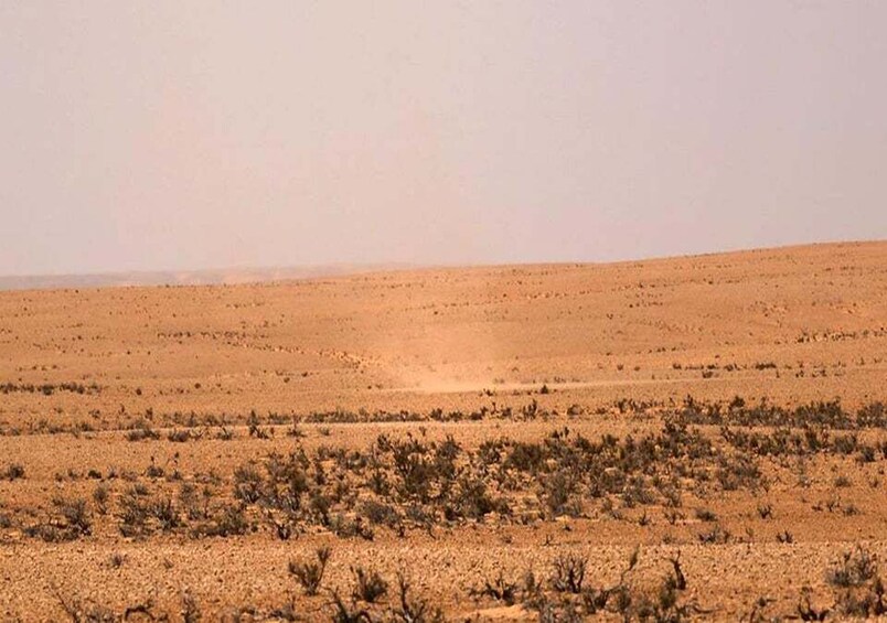 A vast desert landscape with sparse vegetation and a clear sky. 2