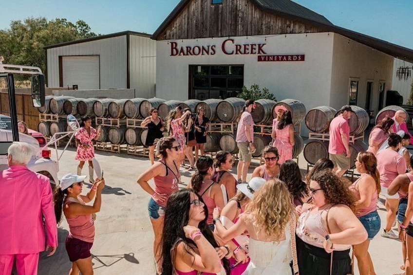 Half-Day Winery Tour in Fredericksburg 4