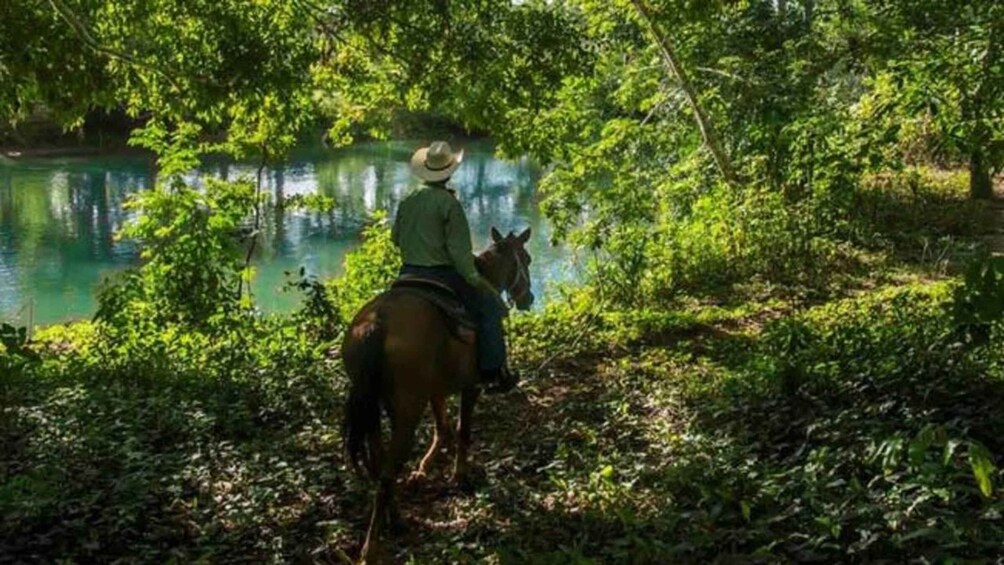 Picture 11 for Activity From San Ignacio: Xunantunich Mayan Tour & Optional Combos 2