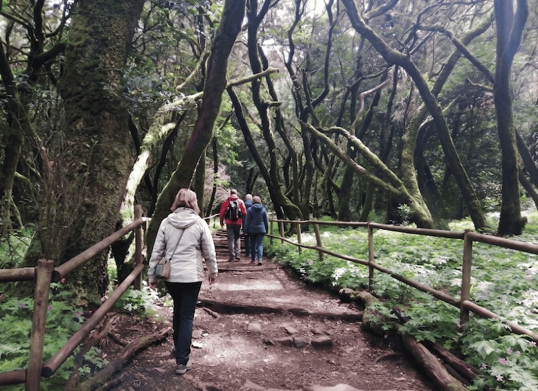 Picture 8 for Activity From Tenerife: Guided Tour to La Gomera with Ferry and Lunch 4
