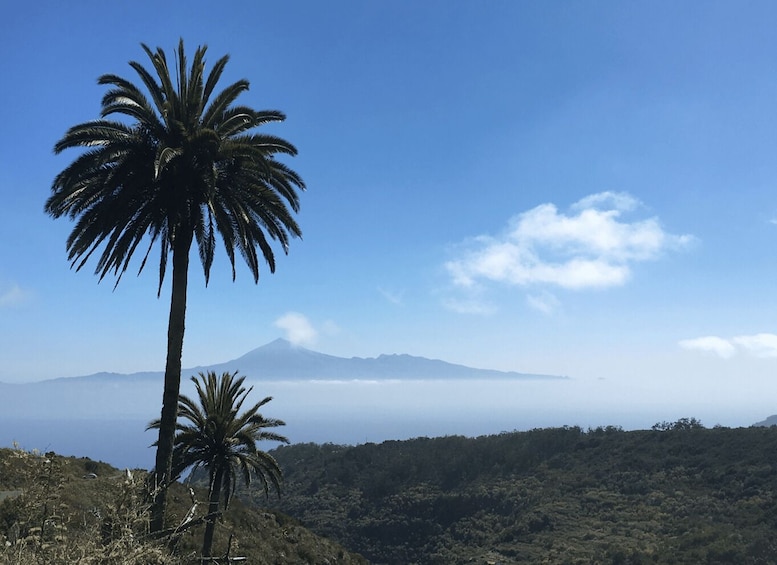 Picture 10 for Activity From Tenerife: Guided Tour to La Gomera with Ferry and Lunch 5