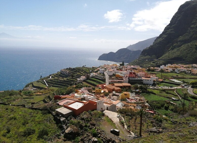 Picture 5 for Activity From Tenerife: Guided Tour to La Gomera with Ferry and Lunch 4