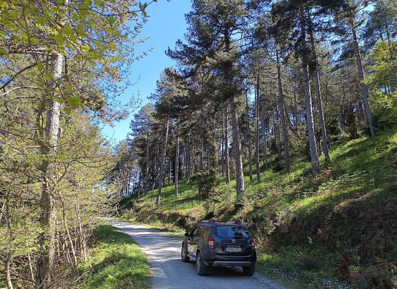 Picture 8 for Activity Thessaloniki: Private Mountain and Beaches SUV Safari 2