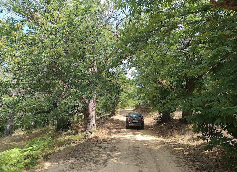 Picture 12 for Activity Thessaloniki: Private Mountain and Beaches SUV Safari 4
