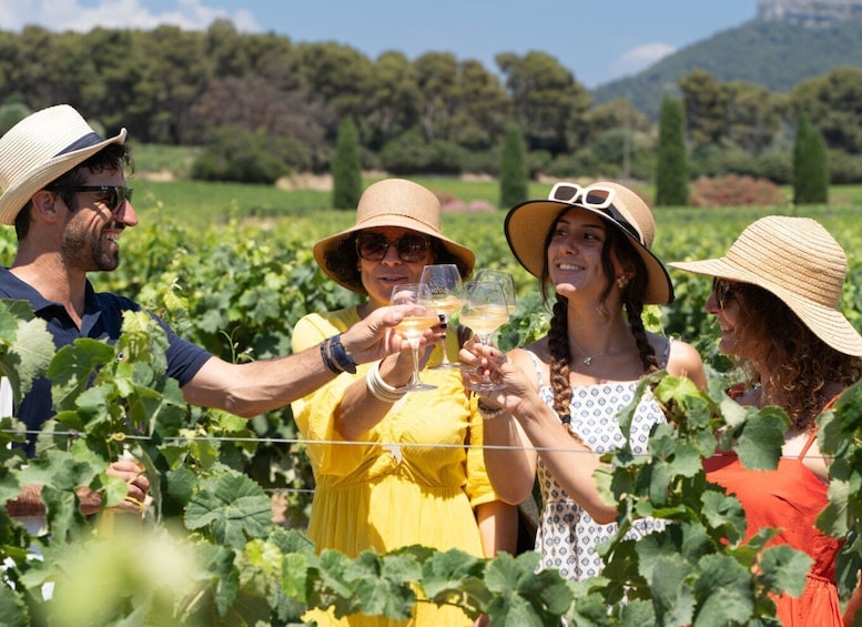 Des personnes trinquent avec des verres de vin dans un vignoble. 5