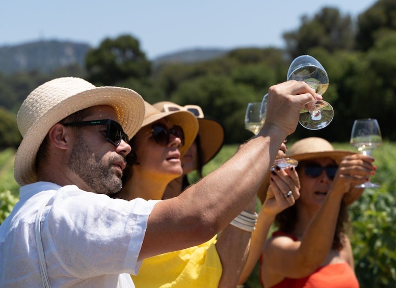 Un groupe de personnes trinquant avec des verres de vin dans un vignoble. 3