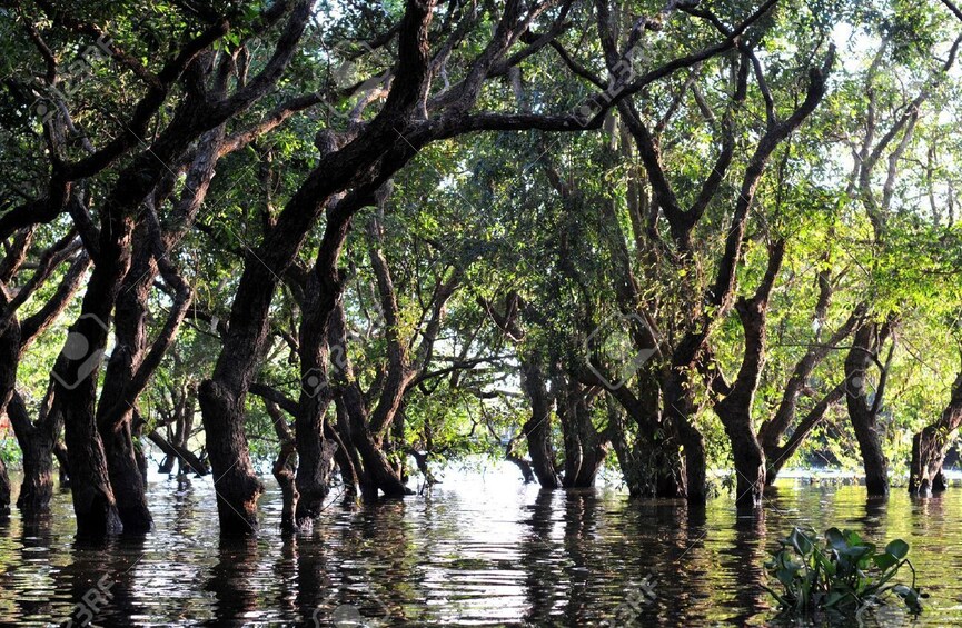 Siem Reap/Battambang Cruise Guided tour one way 1