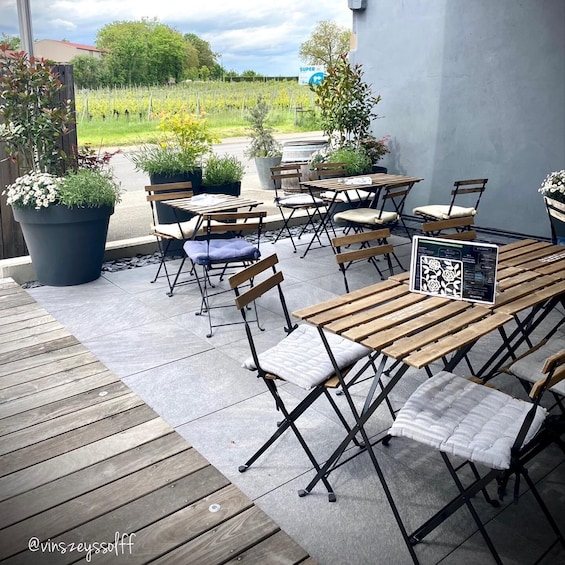Picture 4 for Activity Alsacian picnic - wine tasting & Immersive wine cellar tour 2