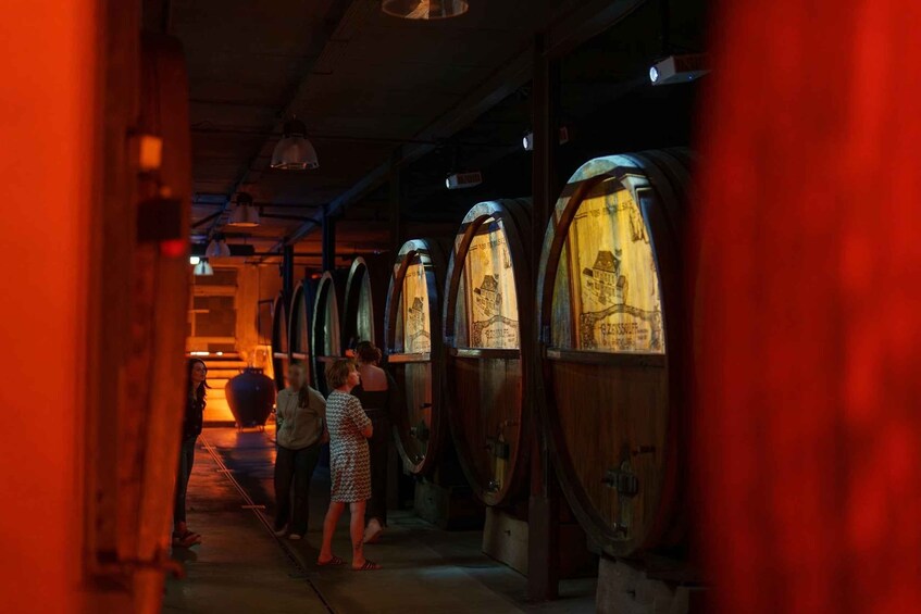 Une rangée de robinets à bière anciens, avec des étiquettes illuminées, dans un couloir faiblement éclairé. 2