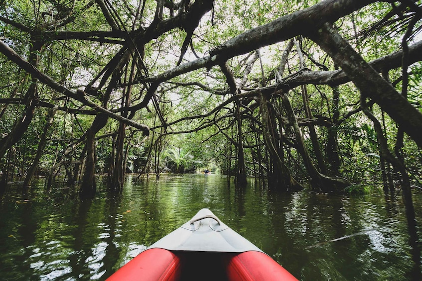 Picture 1 for Activity Khao Lak: Little Amazon Canoe Ride & Tam Nang Waterfall Tour 1