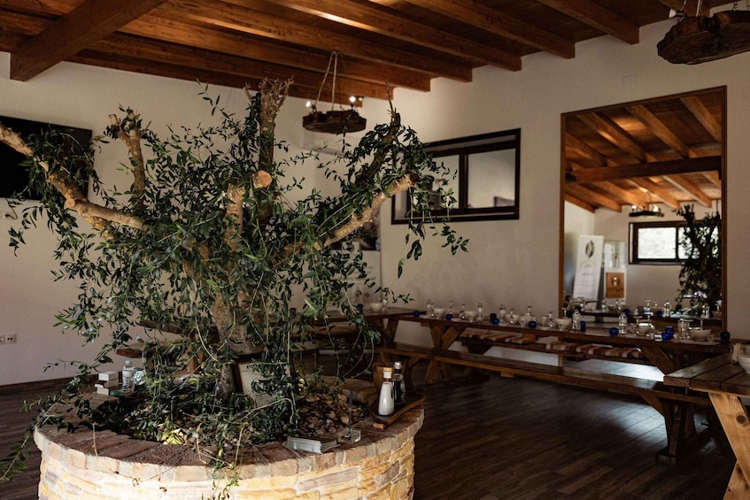 A rustic interior with a large tree planter, wooden beams, and a dining area. 3
