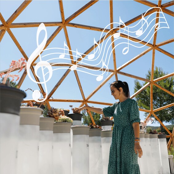 A person arranging potted plants on a wooden trellis structure. 1