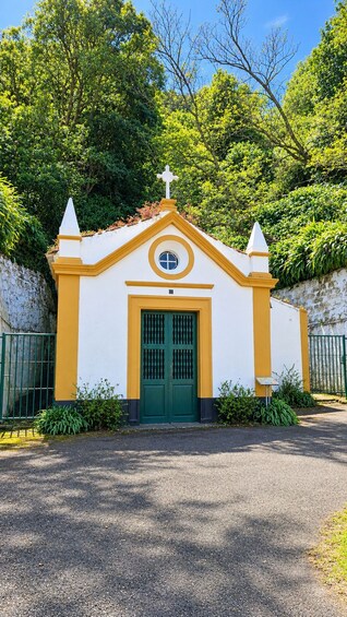 Picture 4 for Activity E-Bike Tour Monte Brasil | Terceira Island 3