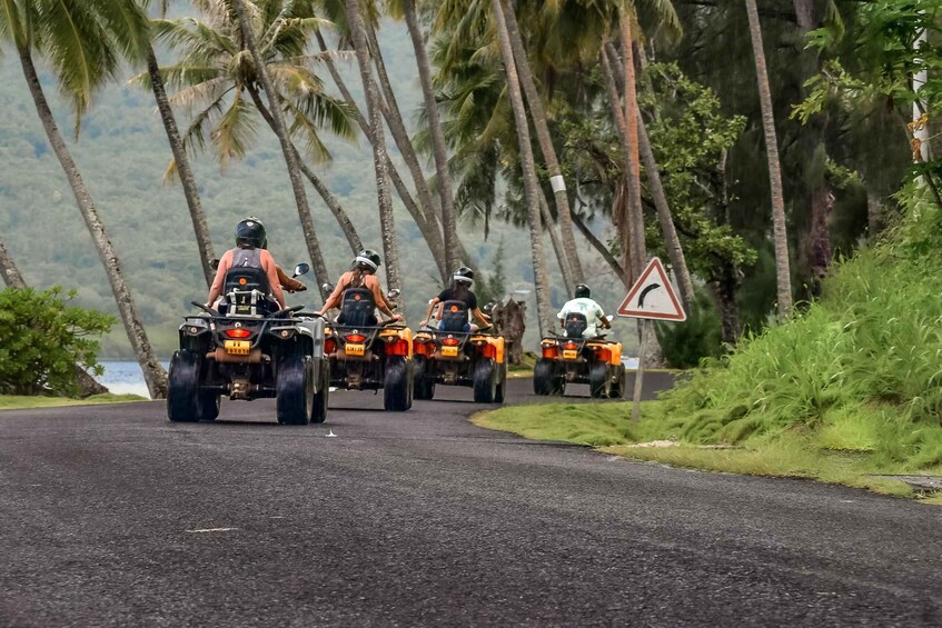 Picture 11 for Activity The Authentic Bora Bora by ATV / QUAD & Vanilla Experience 5