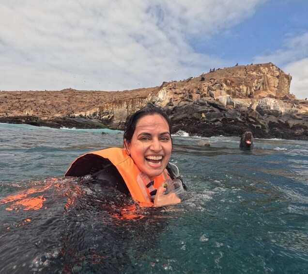 Picture 6 for Activity From Lima: Palomino Islands, Sea Lions Swim & Yacht Tour 5