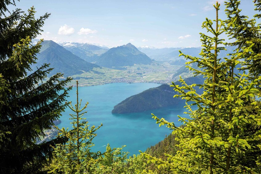 Picture 9 for Activity Mount Rigi: Day Pass 4