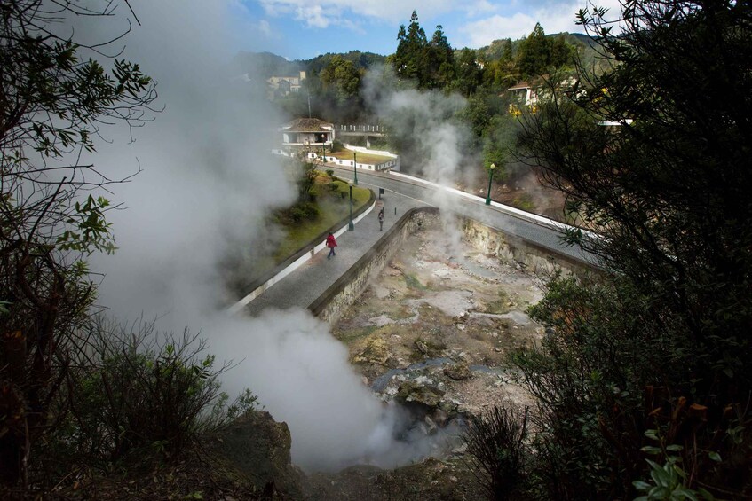 Picture 1 for Activity São Miguel East Van Tour: Furnas & Nordeste + Lunch 2