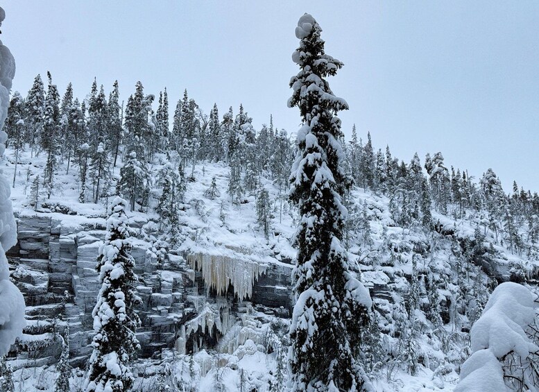 A snowy forest with icicles hanging from a rock formation. 3